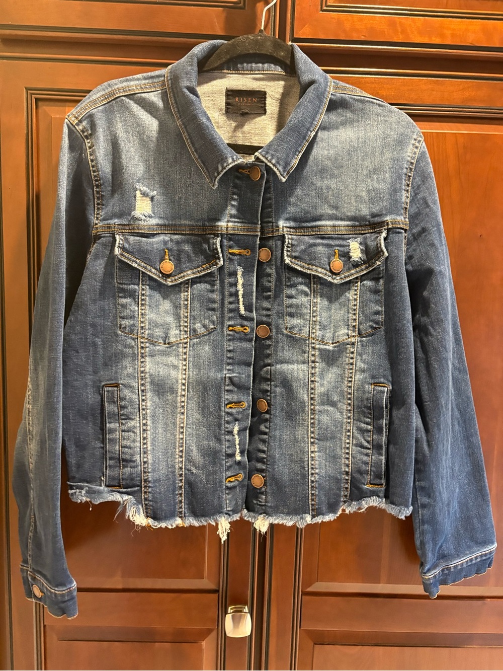 Risen Distressed Stretch Denim Jacket - 1X